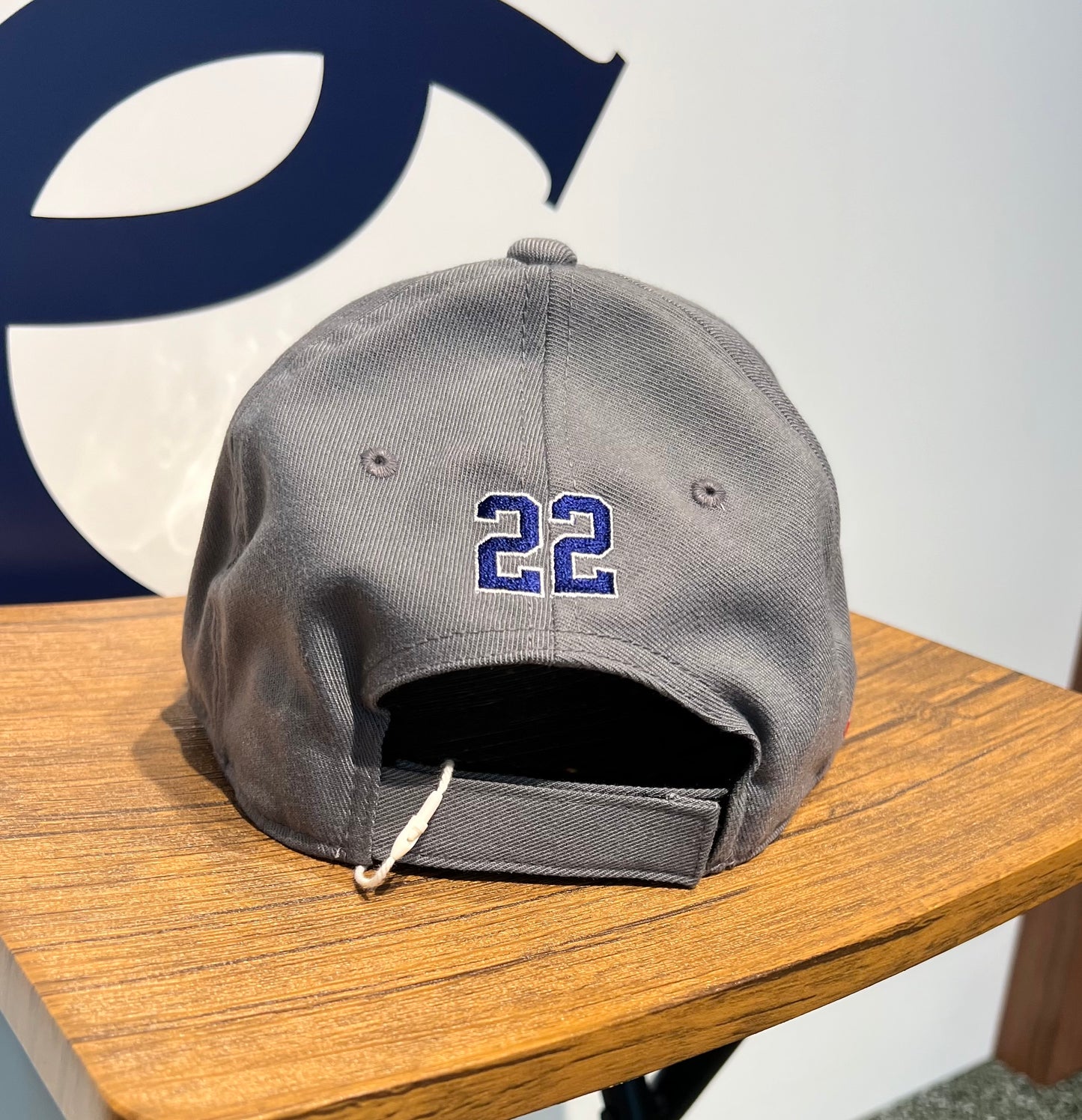 ロゴキャップ/22